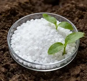 Линии производства азотных удобрений 