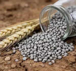 Линии производства фосфатных удобрений